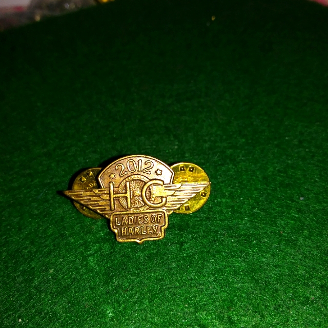 Ladies Of Harley Pin 15$